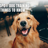 NePoPo® Dog Training: Key Things to Know
