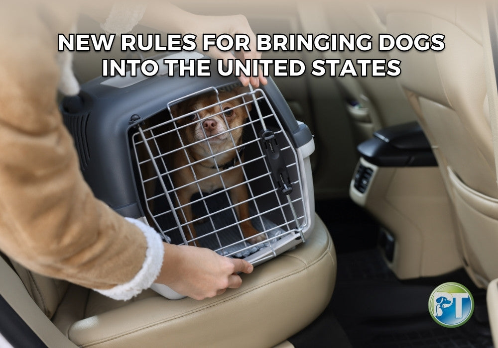 New Rules for Bringing Dogs into the United States