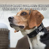 SportDOG Bark Collars: Choosing the Right Fit for Your Pup