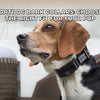 SportDOG Bark Collars – Find the Right Model for Your Dog