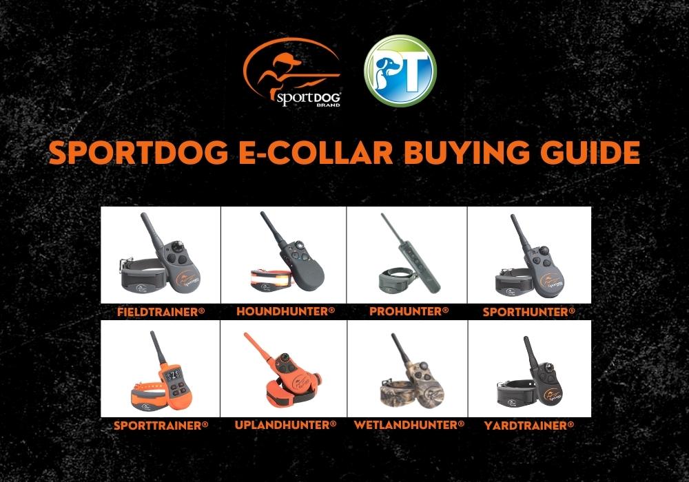 SportDog E Collar Buying Guide 2023