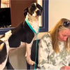 Heartwarming Shelter Dog Adoption in Florida – Luna Finds Her Forever Home