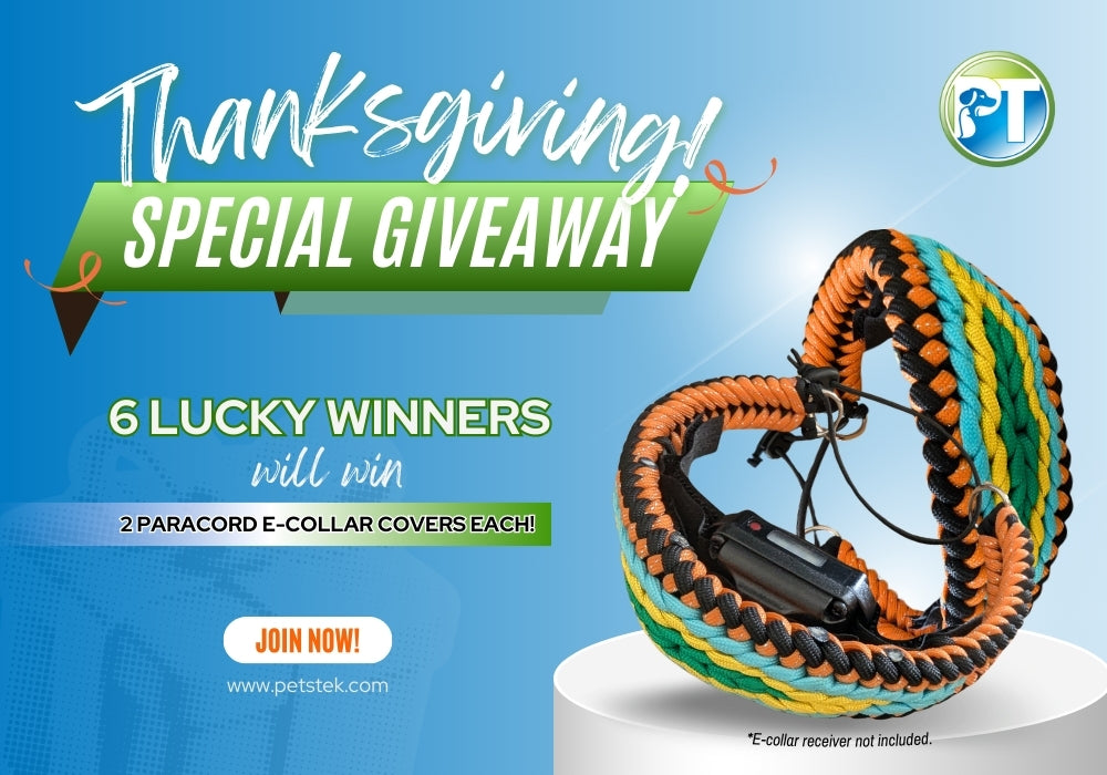 Thanksgiving Giveaway: Win 2 Paracord E-Collar Covers!