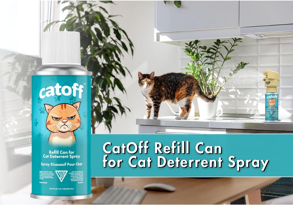 Effective Cat Deterrent Spray to Protect Furniture