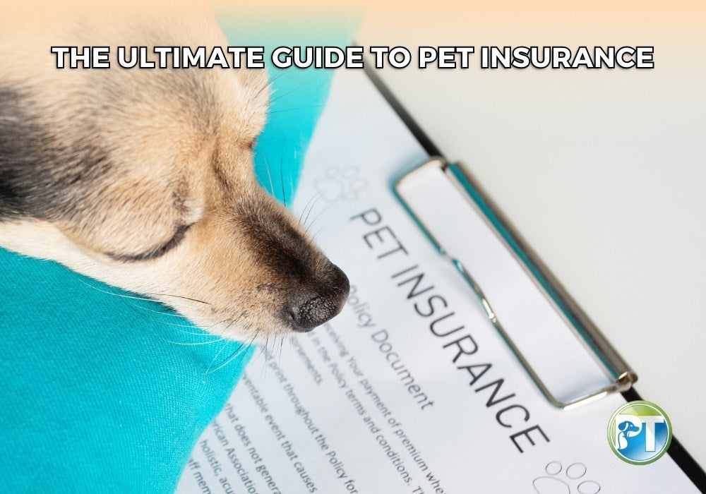 The Ultimate Guide to Pet Insurance