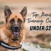 Top Remote Training Collars Under $200: Reliable E-Collars for Dogs