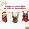 Unique Christmas Gifts for Different Types of Dogs