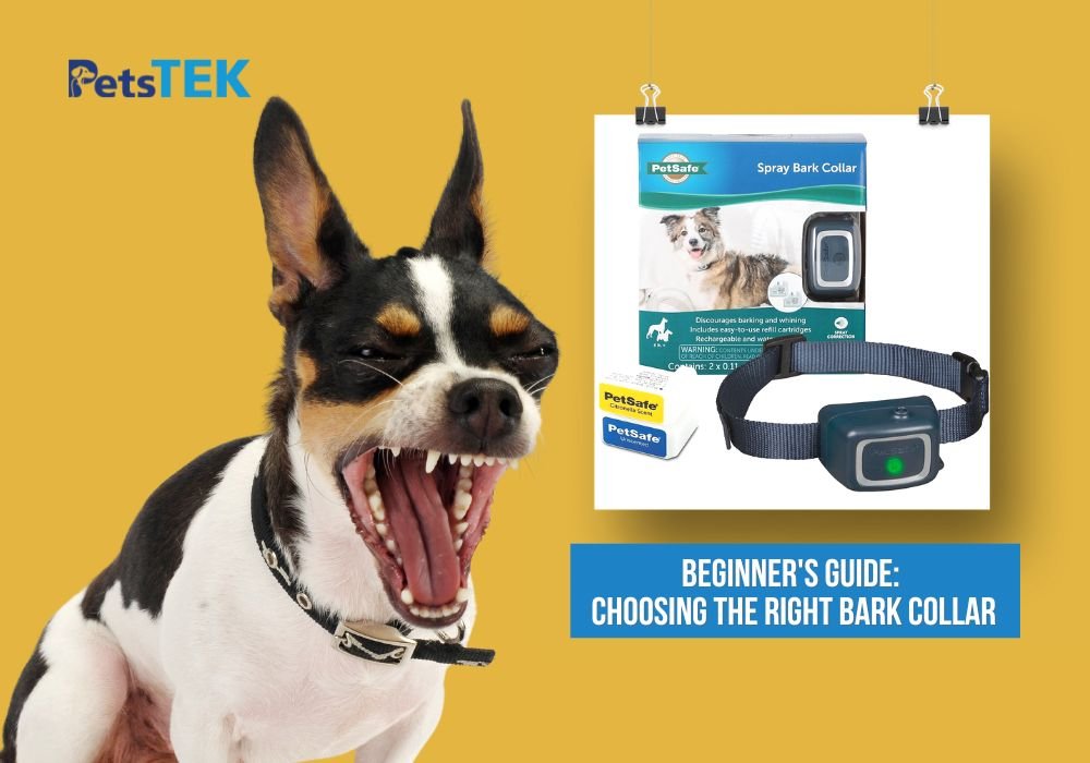 A Beginner’s Guide to Choosing the Best Bark Collar for Dogs (2025 Update) - PetsTEK
