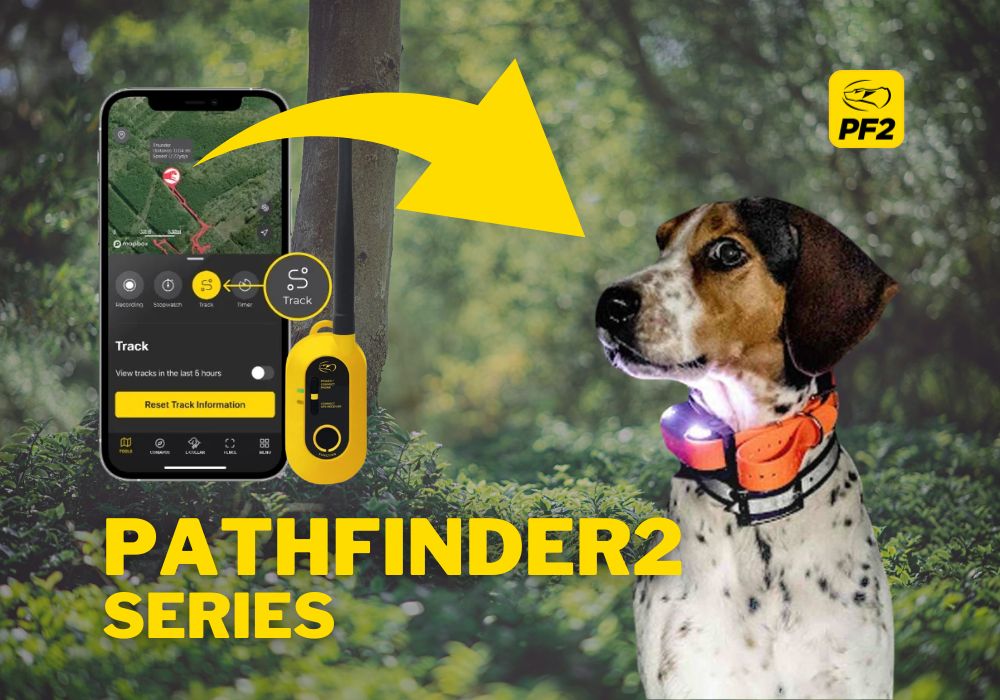 Best Dogtra GPS Collars for Tracking and Training Dogs - PetsTEK