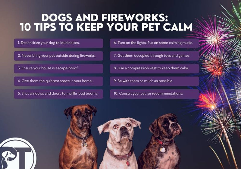 Dogs and Fireworks: 10 Tips To Keep Your Pet Calm - PetsTEK