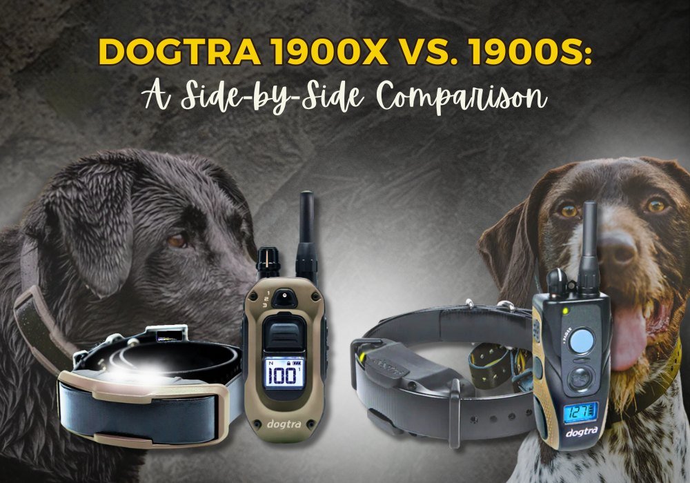 Dogtra 1900X vs. 1900S: Detailed E-Collar Comparison for Off-Leash Training - PetsTEK