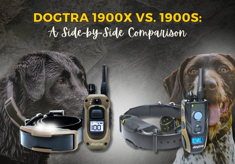 Dogtra 1900X vs. 1900S: Detailed E-Collar Comparison for Off-Leash Training - PetsTEK
