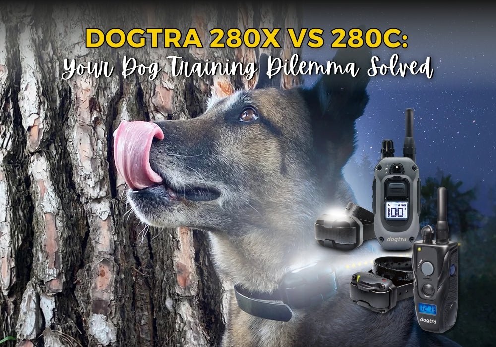 Dogtra 280X vs 280C: Key Differences, Features, and Which Collar to Choose - PetsTEK
