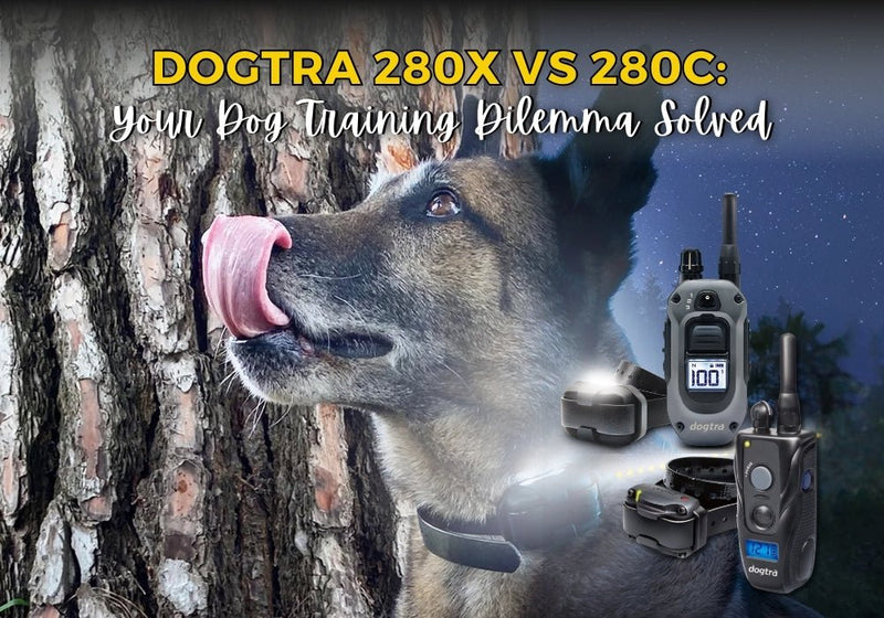 Dogtra 280X vs 280C: Key Differences, Features, and Which Collar to Choose - PetsTEK