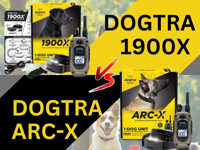 Dogtra ARC-X vs 1900X: The Best E-Collar for Dogs (2025 Review) - PetsTEK