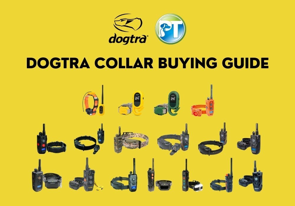 Dogtra Collar Buying Guide: Compare the Best E-Collars for Your Dog - PetsTEK