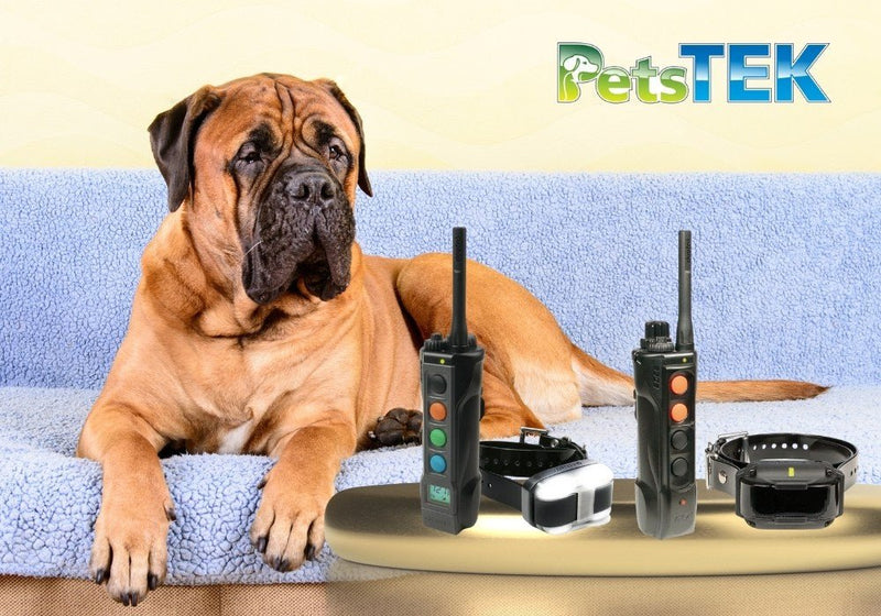 Dogtra EDGE vs EDGE RT: Which E-Collar is Right for Your Dog? - PetsTEK