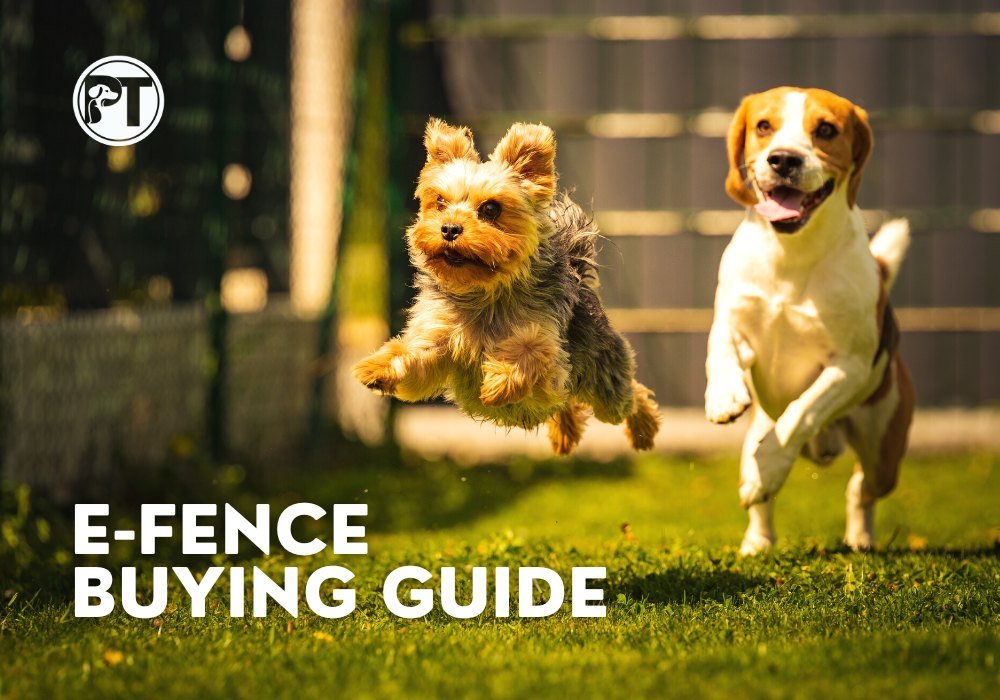 E-Fence Buying Guide 2023 – Best Electronic Dog Fences & Pet Containment - PetsTEK