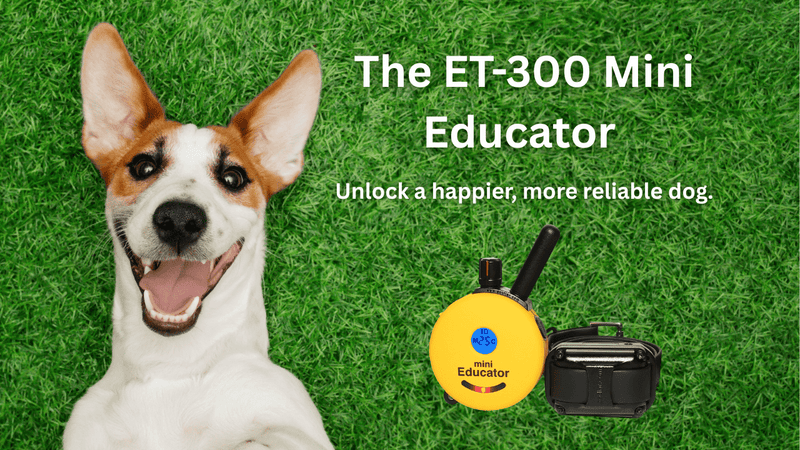 ET-300 Mini Educator: The Key to a Happier, Better-Behaved Dog - PetsTEK