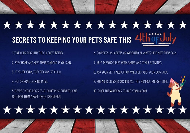 Happy 4th of July from PetsTEK - PetsTEK