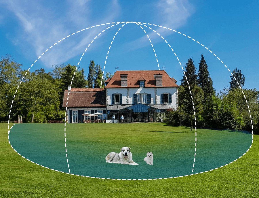 How to Install an E-Fence: Step-by-Step Guide for Dog Owners - PetsTEK