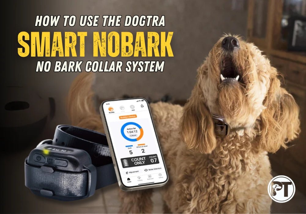 How to Use the Dogtra SMART NOBARK Collar: Setup, Training Modes & App Features - PetsTEK