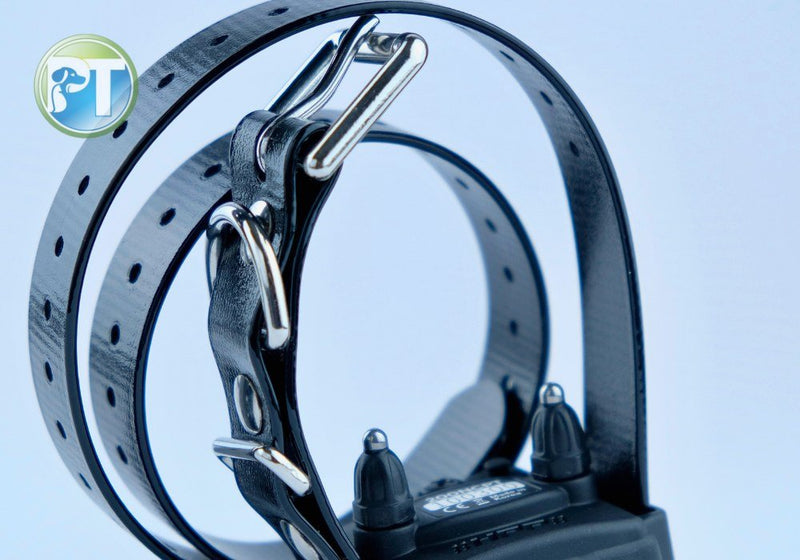 Know Your E-Collar Series: Choosing the Right Dog Collar Straps for Training - PetsTEK