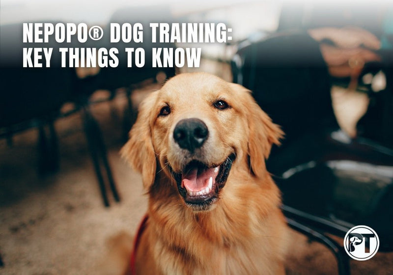 NePoPo® Dog Training: What You Need to Know About This Balanced Method - PetsTEK