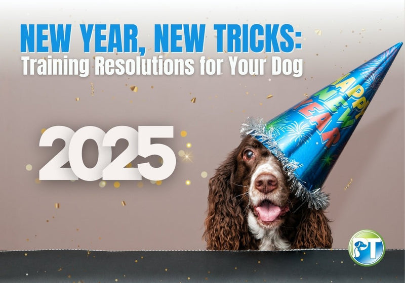 New Year, New Tricks: Dog Training Resolutions for 2025 - PetsTEK