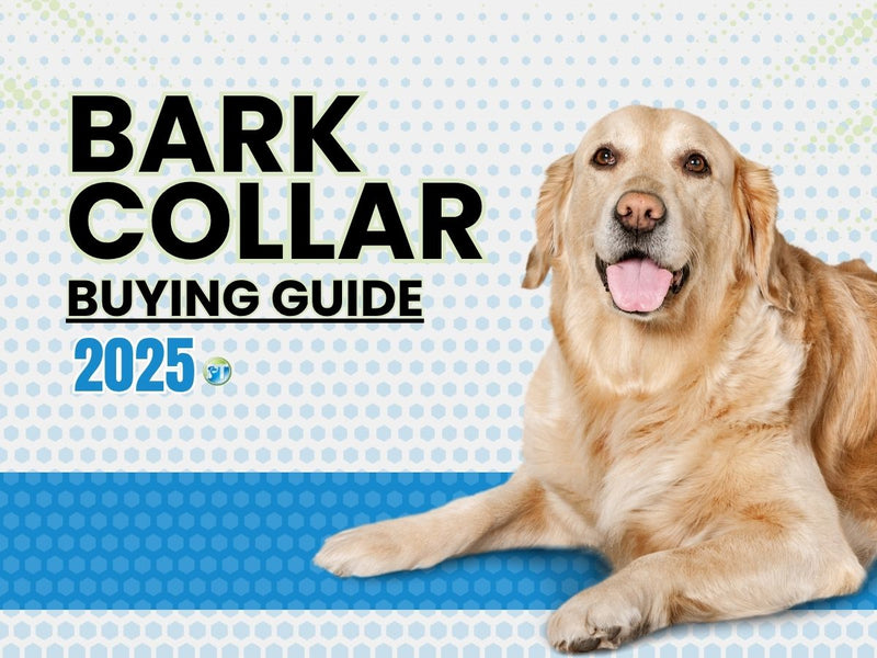 No Bark Collar Buying Guide 2025 – Compare the Best Options for Your Dog - PetsTEK