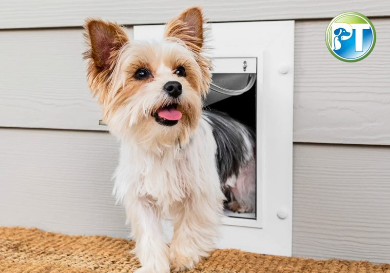 Pet Doors: Benefits, Types, and How to Choose the Right One for Your Pet - PetsTEK