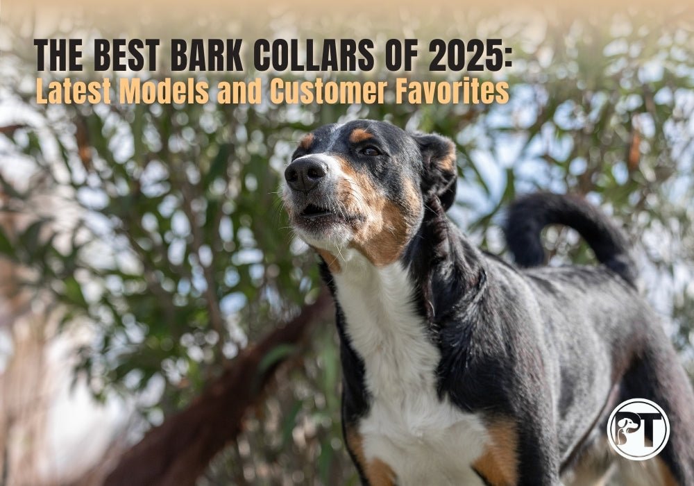 The Best Bark Collars of 2025: Top Models for Every Dog - PetsTEK