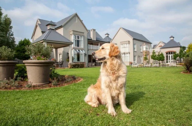 The Best E-Fences for Dogs: Top Wireless & In-Ground Systems - PetsTEK
