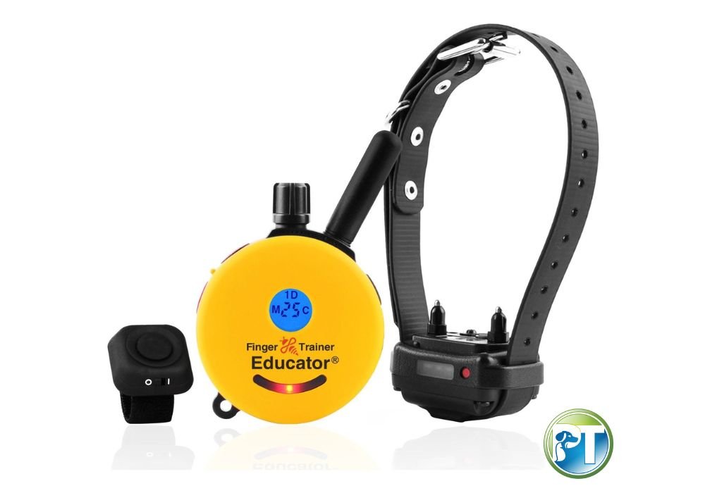 The Complete Guide to Using the FT-330 Finger Trainer by E-Collar Technologies - PetsTEK