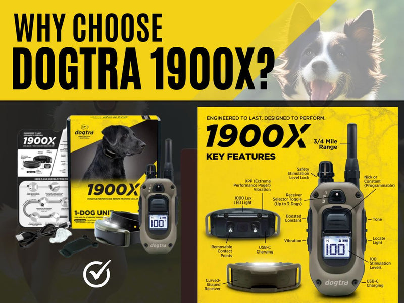 Why the 1900X Dog Training Collar is a Great Choice for Effective Dog Training - PetsTEK