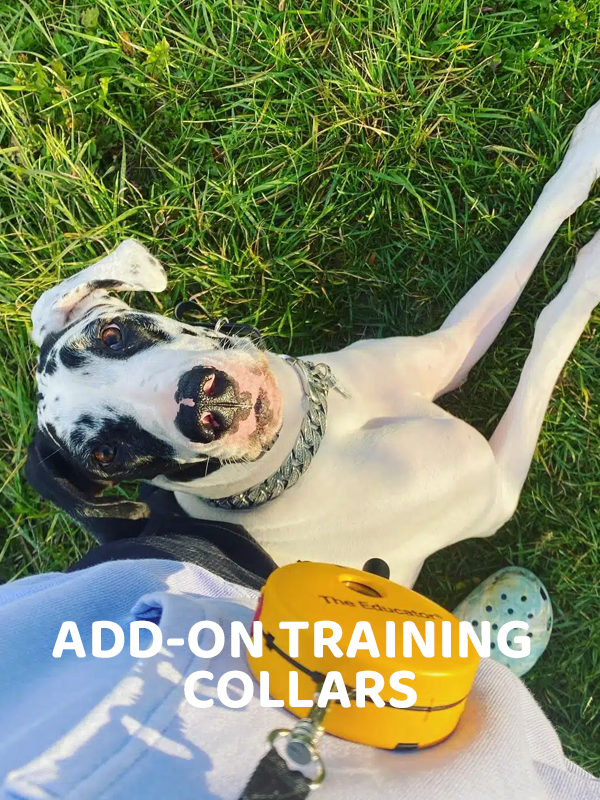 Add-On Collars - PetsTEK