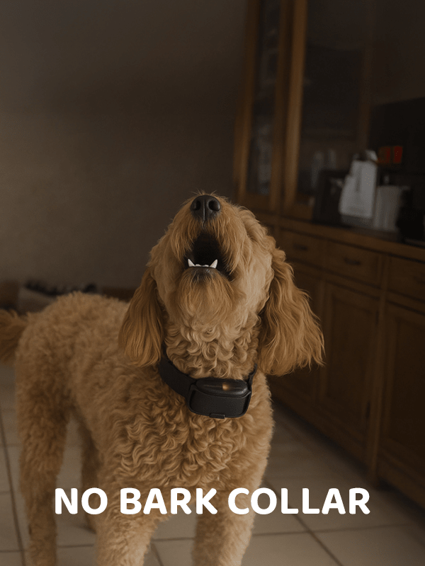 No Bark Collars by PetSafe - PetsTEK