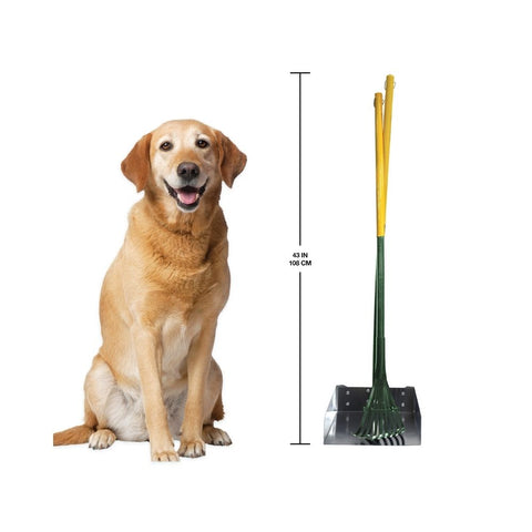 Size Comparison Between Large Four Paws Dog Rake and Scooper Set in Green and Yellow and Dog