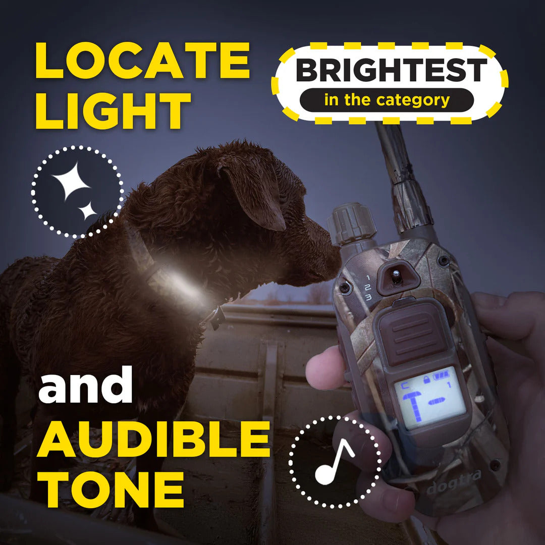 Dogtra 1900X Camouflage with Light and Tone
