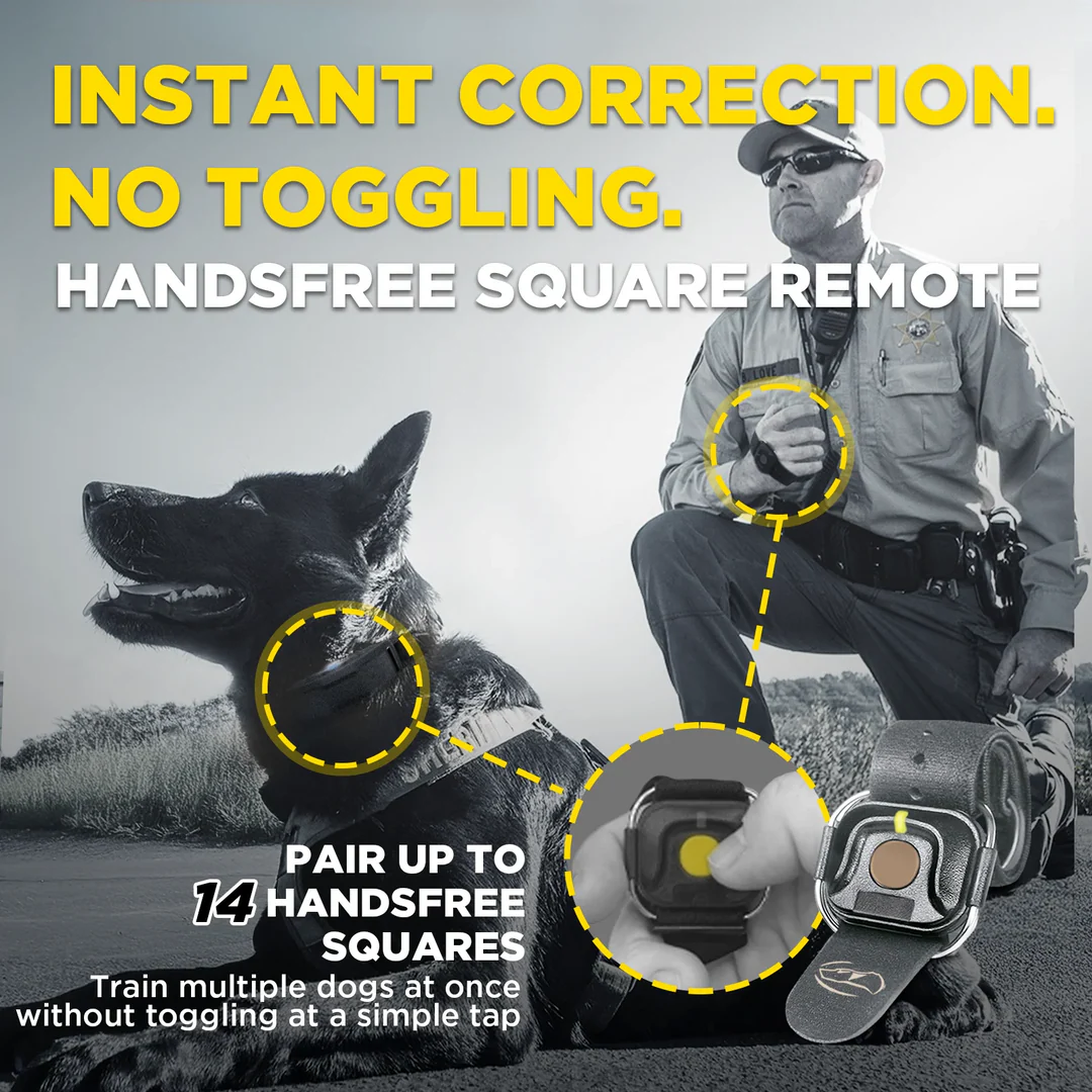 Dogtra 1900X Black Edition - 1 Mile - Remote Training E-Collar-9