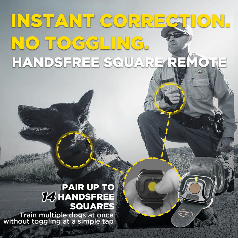 Dogtra 1900X Black Edition - 1 Mile - Remote Training E-Collar-zoom-