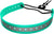 PetsTEK 1" Reflective Biothane Replacement Strap for Remote Training E-Collar in Green