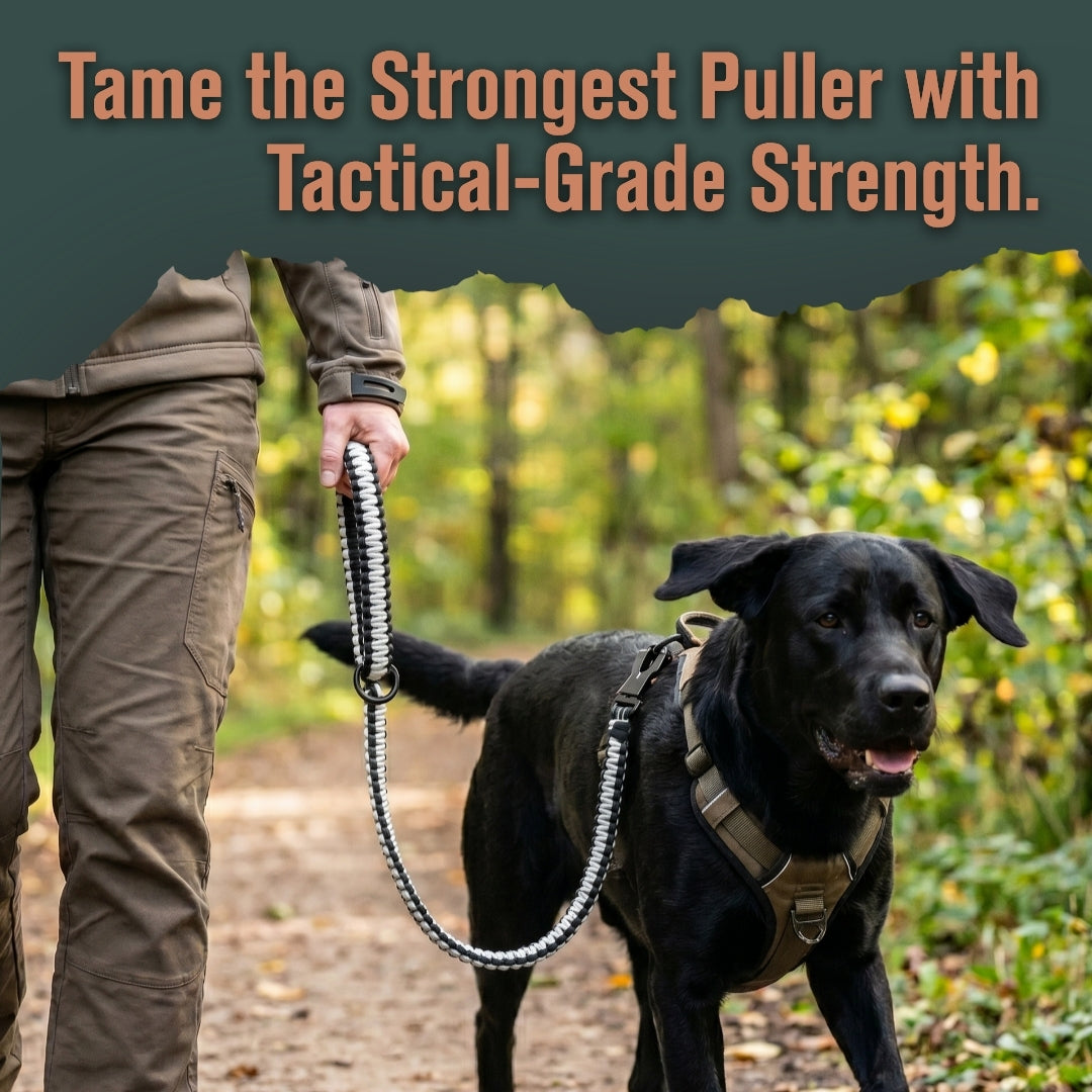 PetsTEK Heavy Duty Dog Leash For Large Dogs-zoom-6