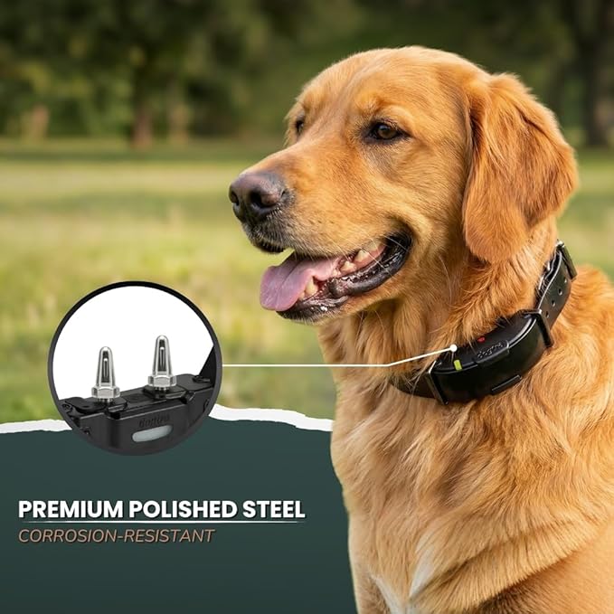 PetsTEK - Replacement Contact Points - Compatible with Dogtra X-Series E-Collars-zoom-