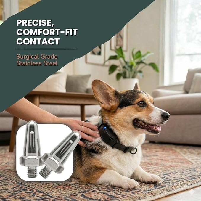 PetsTEK - Replacement Contact Points - Compatible with Dogtra X-Series E-Collars-5