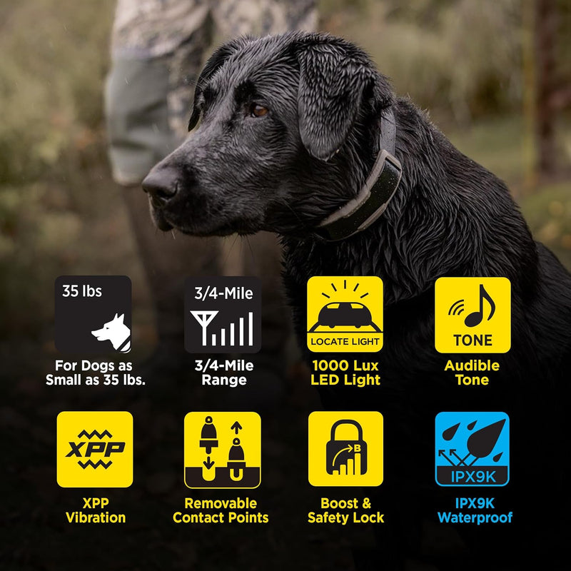 Dogtra 1900X & Blue X-Shield Bundle - 3/4 Mile Dog Training E-Collar-zoom-