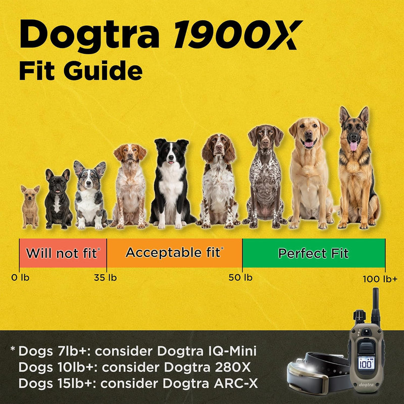 Dogtra 1900X & Pink Gold X-Shield Bundle - 3/4 Mile Dog Training E-Collar-zoom-
