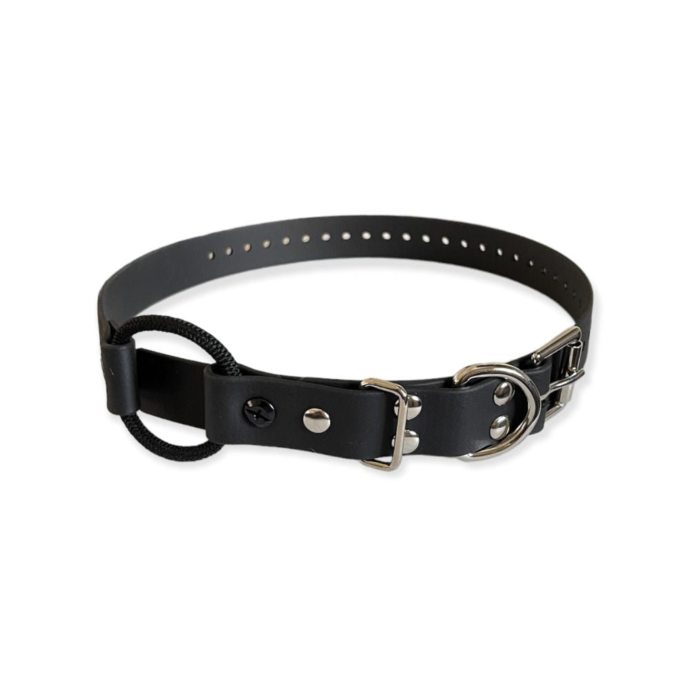E-Collar Technologies 1" x 33" Black Bungee Collar
