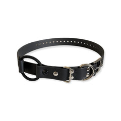 E-Collar Technologies 1" x 33" Black Bungee Collar