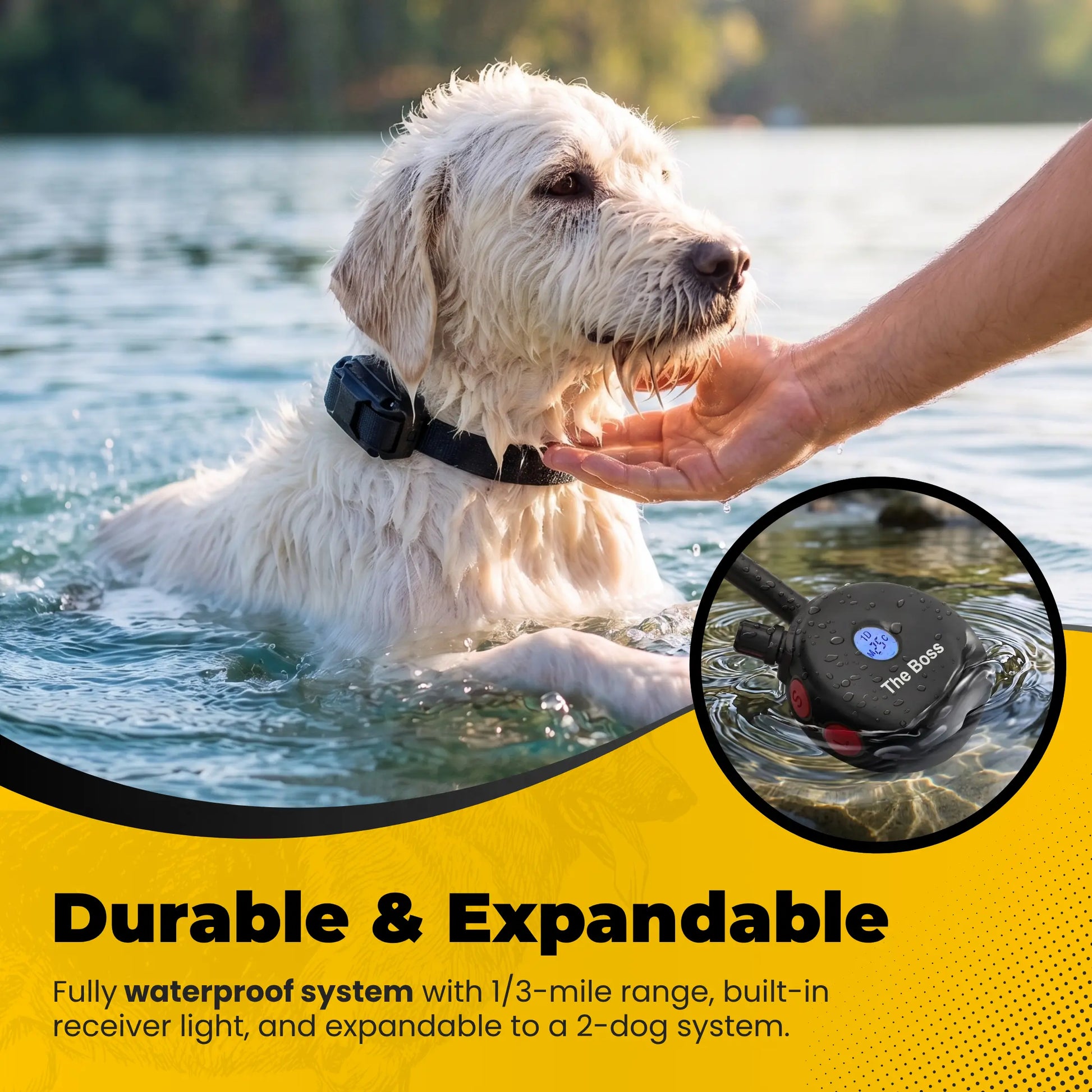 petstek.myshopify.com Boss Educator ET-800 Remote Dog Training Collar Black  E-Collar Technologies